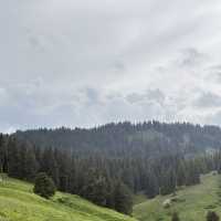 Bole 2 Days Itinerary