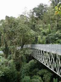 คนรักธรรมชาติห้ามพลาด ที่เที่ยวแนะนำ จ.เชียงใหม่