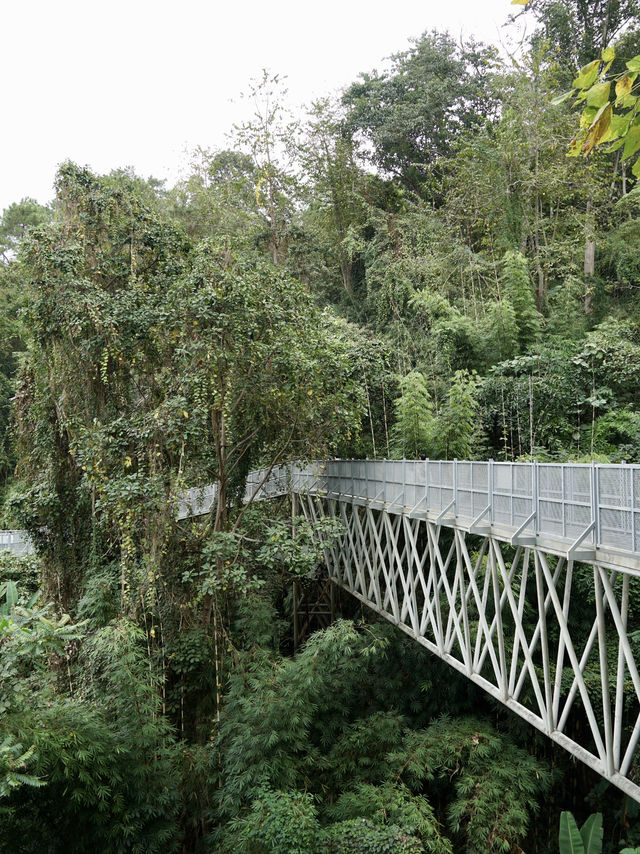 คนรักธรรมชาติห้ามพลาด ที่เที่ยวแนะนำ จ.เชียงใหม่