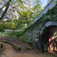 Stone Walls & Forest Strolls, Namhansanseong