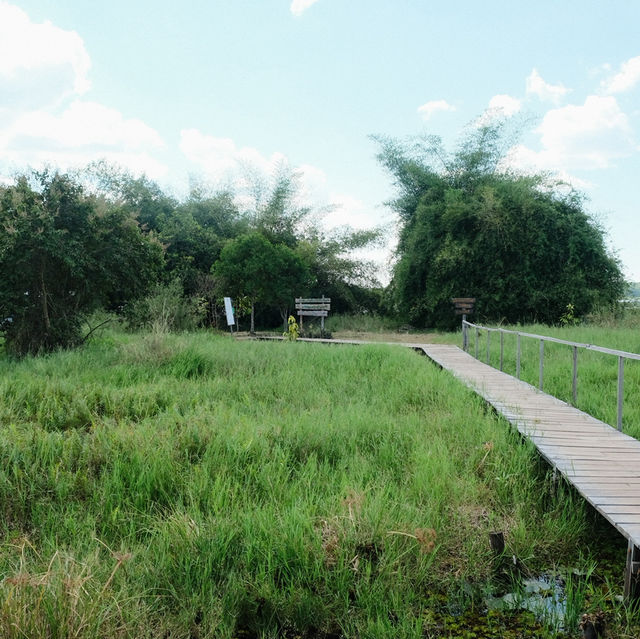 “เจ้าปู่อือลือนาคราช – แรงศรัทธาแห่งเกาะดอนโพธิ์”
