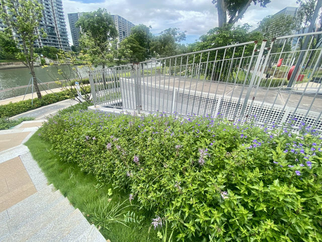 福海河公園🌟繁城市中享受寧靜自然和溜寵美地🏞️🌳