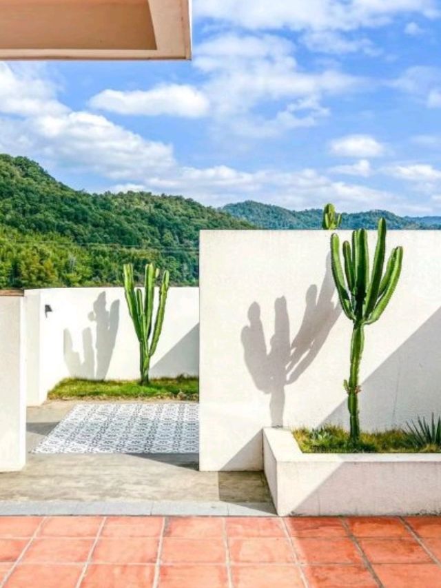 充電避世民宿🛖🌳🏖️獨立溫泉