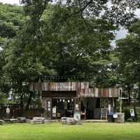 🌿☕ Judy’s Home Cafe - ลำพูน