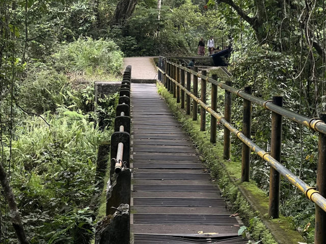 🌿 Lombok Waterfalls: Hike the Wild, See the Beautiful! 💦