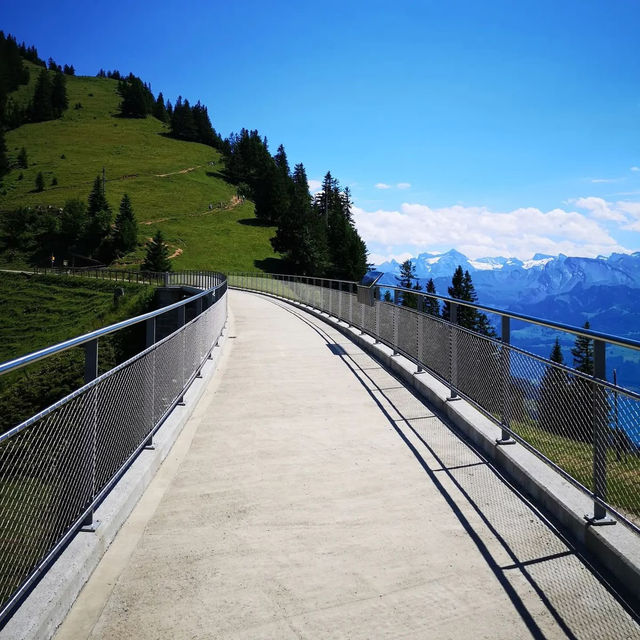🏔️✨ Summer Weekend at Mount Rigi: Queen of the Mountains 