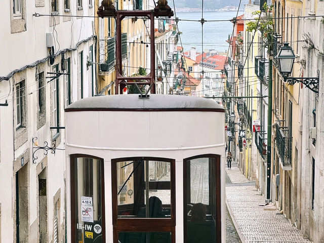 Lisbon: All About Yellow and Blue! 🇵🇹💛💙