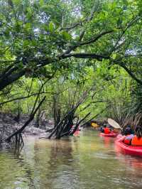Mangrove Magic: Kayaking the Sepang River 🌿
