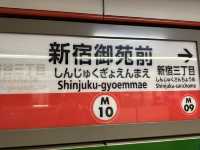 🌸城市中的綠色奇蹟！《新宿御苑》四季皆美的東京祕密花園，賞櫻、避暑、療癒心靈一次到位🍁🌿 