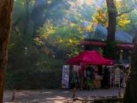 Korea’s Autumn Season