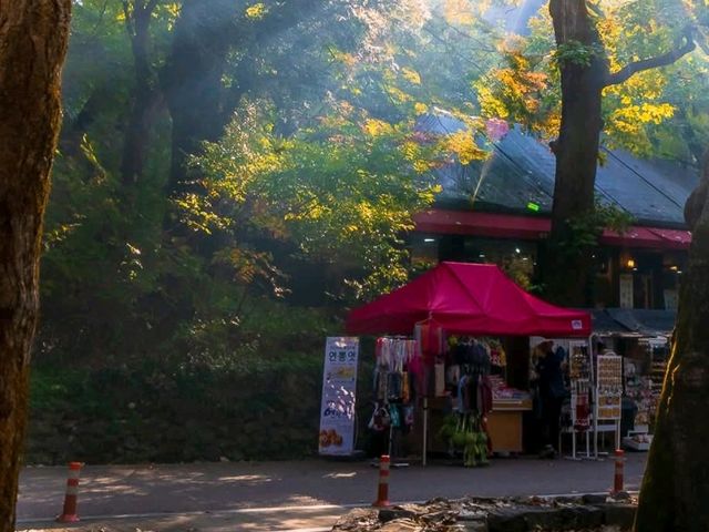 Korea’s Autumn Season