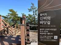 Beachy Bliss at Jindo Sol Beach Resort