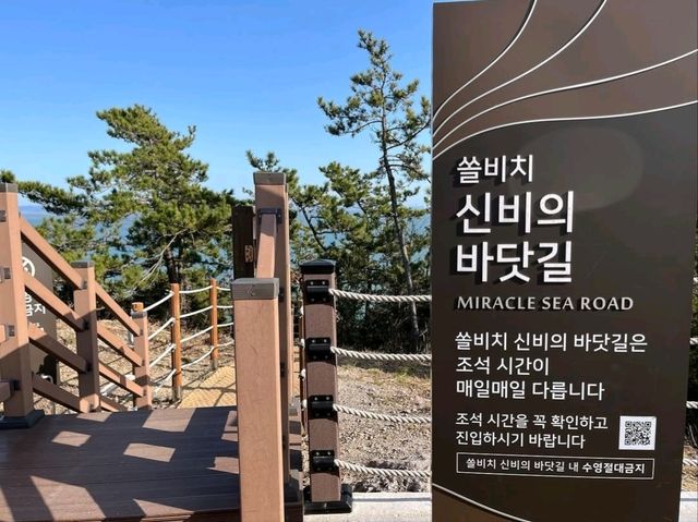 Beachy Bliss at Jindo Sol Beach Resort