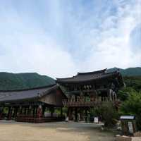 History, Nature & Zen Vibes at Pyochungsa Temple