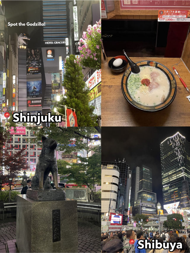 ✨ Tokyo Itinerary (4D3N) 🇯🇵