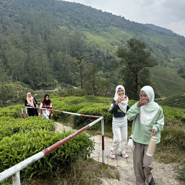 unique experience in a tea plantation & less crowd too!