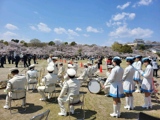 古城與櫻花的浪漫邂逅/姬路城/白鷺城