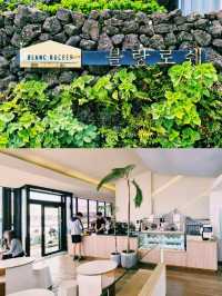 우도 감성 충전소 – ‘블랑로쉐’에서 만난 땅콩의 향기와 바다의 여유