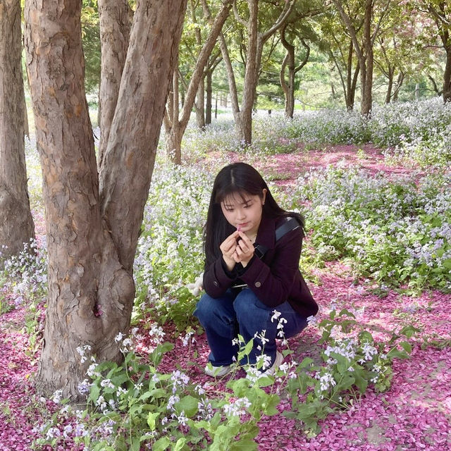 🌸꽃 피는 베이징의 봄, 공원에서 느낀 조용한 힐링🌿