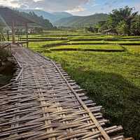 Bamboo Wonderland Stroll, Boon Ko Ku So
