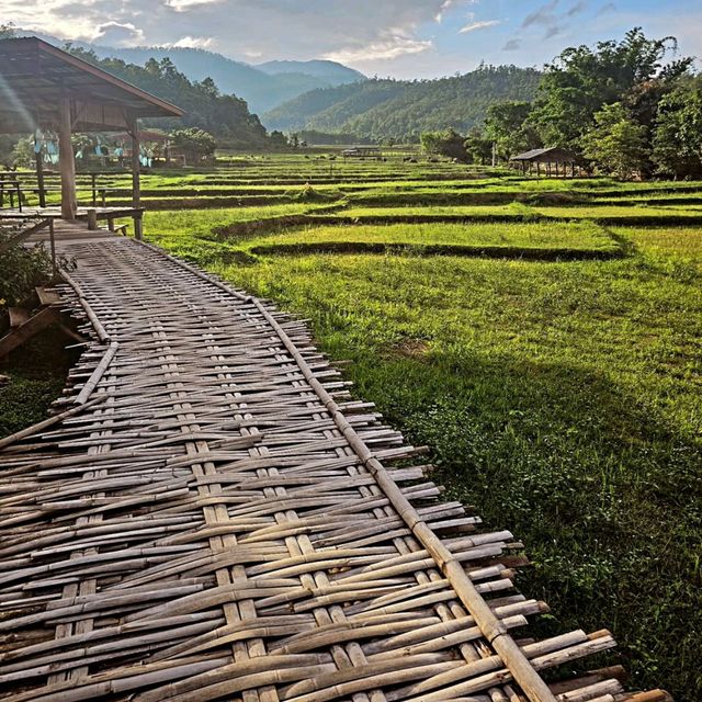 Bamboo Wonderland Stroll, Boon Ko Ku So