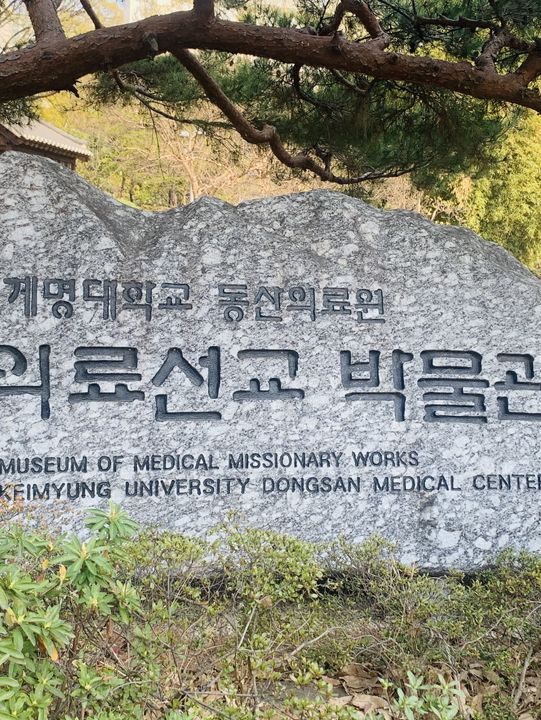 韓國 大邱 櫻花