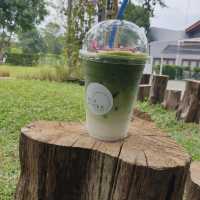 ปลีกวิเวก 