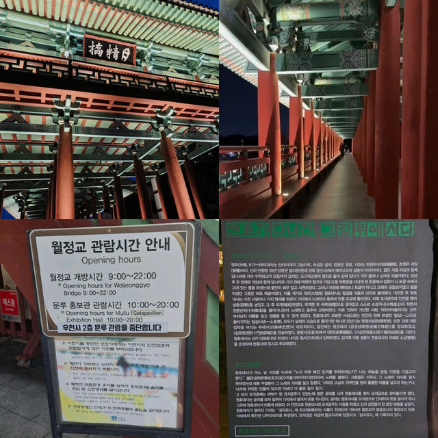 경주여행 | 빛으로 깨어난 천년의 다리, 경주 월정교 여행기