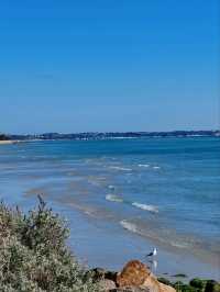 Rye Beach：莫宁顿半岛最适合家庭游玩的浅水海滩