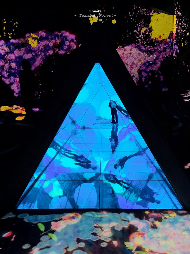 Teamlab Forest | Fukuoka