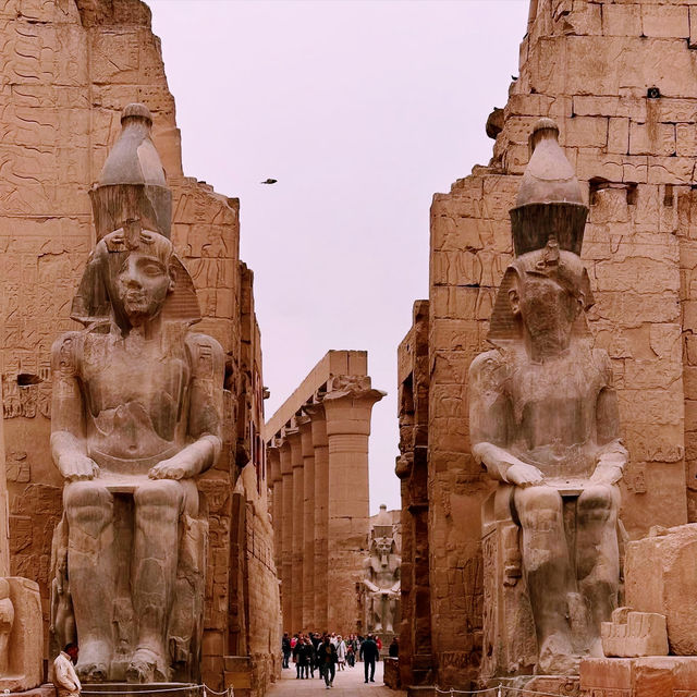 Luxor Temple by Moonlight: A Summer Night Walk Through 3,500 Years of History