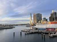 호주 시드니 페리 선셋 최적의 루프 Pyrmont Bay - Circular Quay