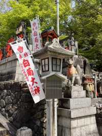 ⛩️🔥⛰️ Fushimi Inari Hike – From 1,000 Gates to the Mountain Peak