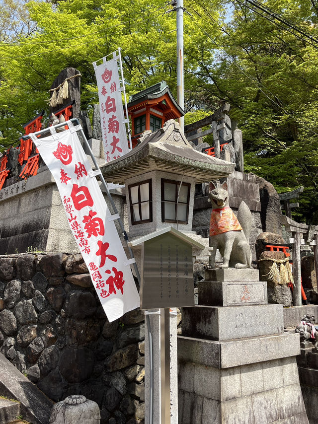 ⛩️🔥⛰️ Fushimi Inari Hike – From 1,000 Gates to the Mountain Peak