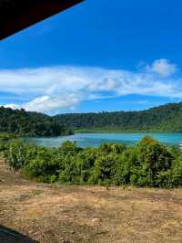 Jungle Meets Sea
