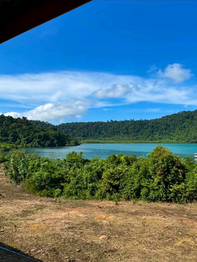 Jungle Meets Sea