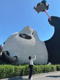การเดินทางไปตูเจียงเหยี่ยน Dujiangyan เฉิงตู