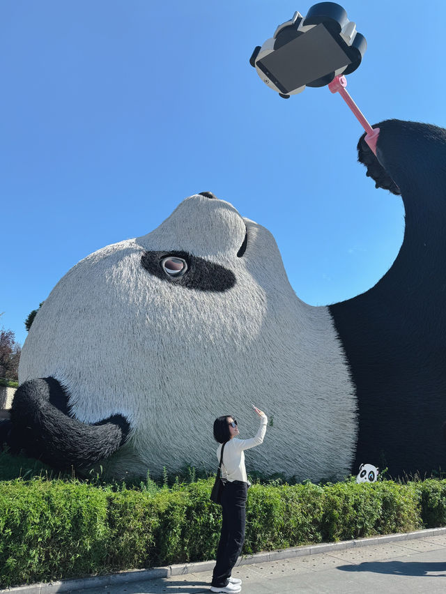 การเดินทางไปตูเจียงเหยี่ยน Dujiangyan เฉิงตู