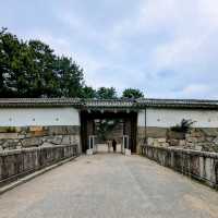 名古屋 | 名古屋城，名古屋人氣 No.1 觀光景點