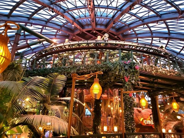 Dinosaur Dine & Chill at Birds of Prey Café