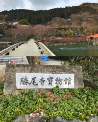 [Japan 🇯🇵] Katsuoji Temple: Where Wishes Come True (and Daruma Dolls Delight!)