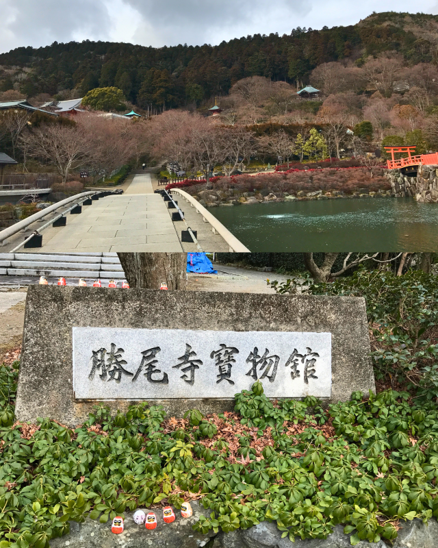 [Japan 🇯🇵] Katsuoji Temple: Where Wishes Come True (and Daruma Dolls Delight!)