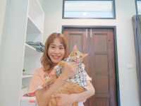 อัมพวา คาซ่า ปลาทู ที่พัก Pet friendly !!