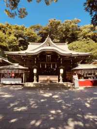 ⛩️ Solo Spiritual Escape: Enoshima Shrine – Island of Dragons & Sea Goddesses
