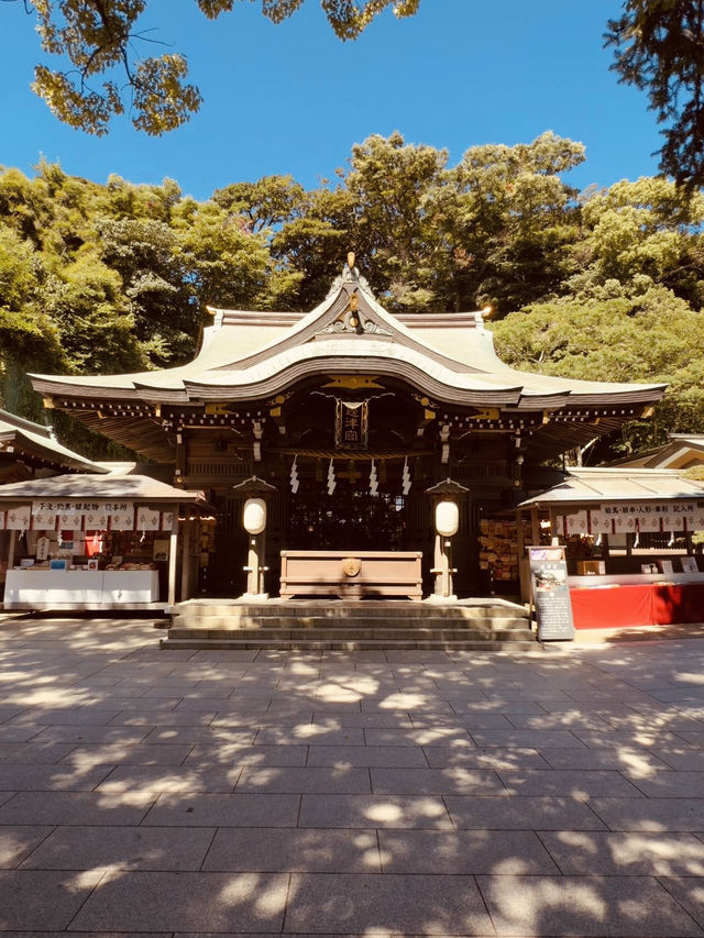 ⛩️ Solo Spiritual Escape: Enoshima Shrine – Island of Dragons & Sea Goddesses