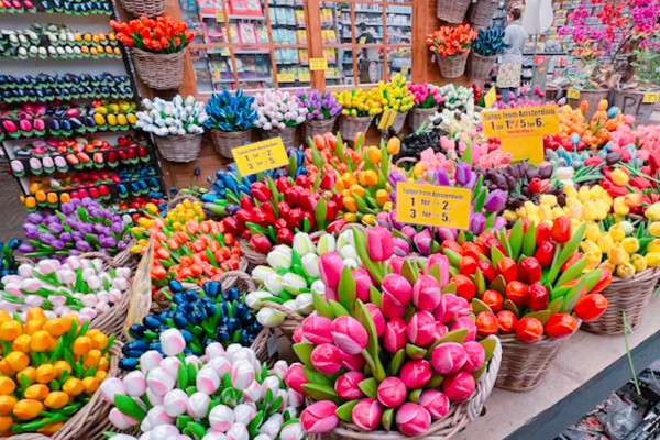 シンゲルの花市場🌷🇳🇱 | Trip.com アムステルダム