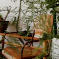 Elevated Taste in a Storybook Setting