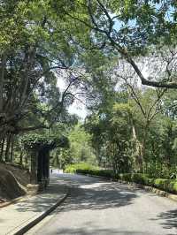 Oasis Garden: Sunday Blooming Like My Excuses