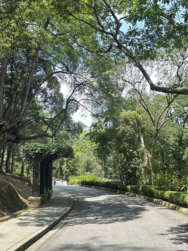 Oasis Garden: Sunday Blooming Like My Excuses