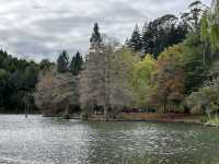 🌿 McLaren Falls Park｜陶朗加後花園的自然療癒地
